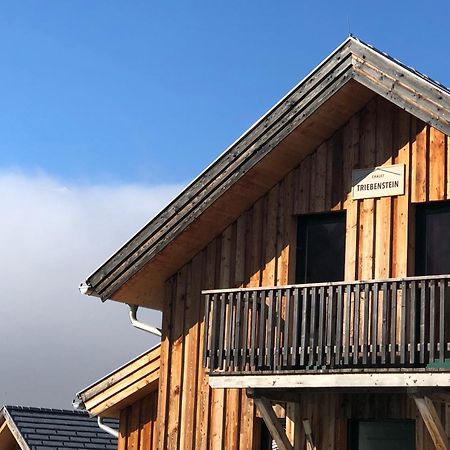 Chalet Triebenstein ホーエンタウアーン エクステリア 写真